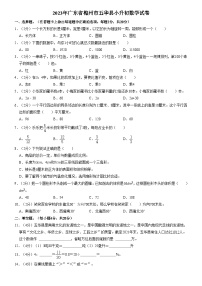 2023年广东省梅州市五华县小升初数学试卷（内含答案解析）