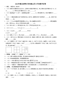 2023年湖北省黄石市西塞山区小升初数学试卷（内含答案解析）