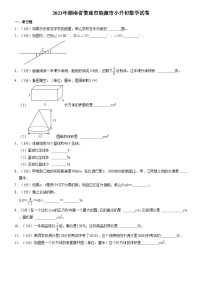 2023年湖南省娄底市涟源市小升初数学试卷（内含答案解析）