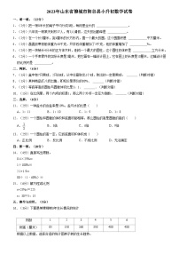 2023年山东省聊城市阳谷县小升初数学试卷（内含答案解析）