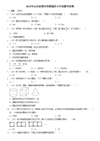 2023年山东省滨州市滨城区小升初数学试卷（内含答案解析）