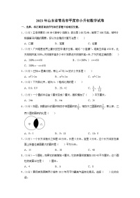 2023年山东省青岛市平度市小升初数学试卷（内含答案解析）