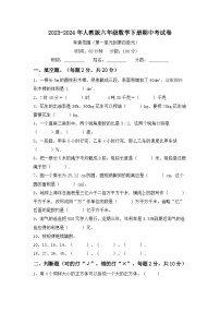 期中考试卷（试题）-2023-2024年六年级下册数学人教版