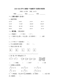 期末考试卷（试题）-2023-2024学年一年级下册数学人教版