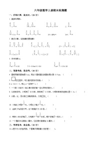 2023-2024学年山东省聊城市莘县实验小学青岛版六年级上册期末测试数学试卷（原卷版+解析版）