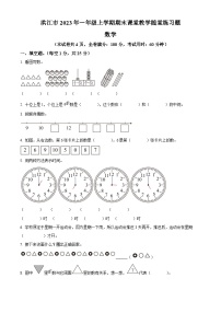 2023-2024学年湖南省怀化市洪江市人教版一年级上册期末测试数学试卷（原卷版+解析版）