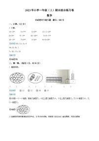 2023-2024学年湖南省邵阳市新宁县乡镇学校联考苏教版一年级上册期末综合练习数学试卷