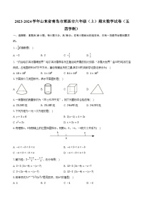 2023-2024学年山东省青岛市莱西市六年级（上）期末数学试卷（五四学制）（含解析）