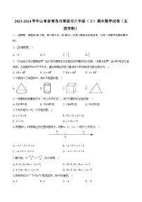 2023-2024学年山东省青岛市莱西市六年级(上)期末数学试卷(五四学制)(含解析)