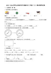 2023-2024学年山东省枣庄市滕州市青岛版三年级上册期末考试数学试卷（原卷版+解析版）