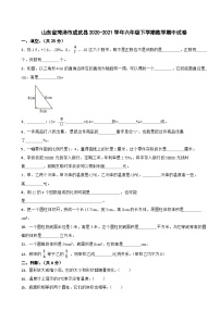 山东省菏泽市成武县2020-2021学年六年级下学期数学期中试卷