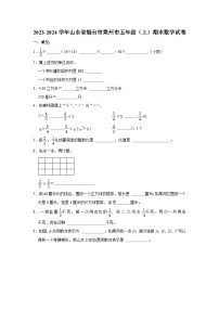 山东省烟台市莱州市2023-2024学年五年级上学期期末考试数学试题