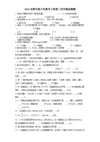 2024北师大版六年数学下册月度学情监测题含答案（三）