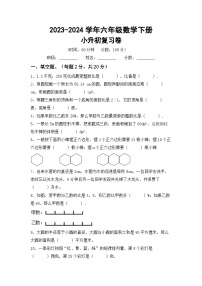 小升初复习（试题）-2023-2024学年六年级下册人教版数学