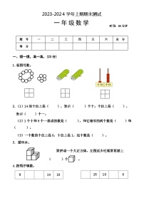 河南省焦作市沁阳市2023-2024学年一年级上学期期末测试数学试题