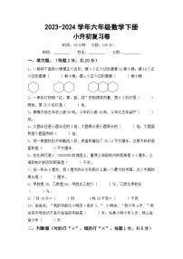 小升初综合复习（试题）-2023-2024学年六年级下册北京版数学