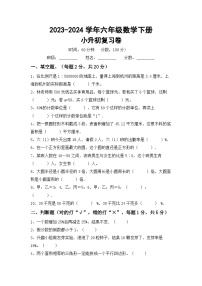小升初综合复习（试题）-2023-2024学年六年级下册人教版数学