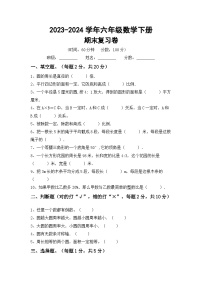 小升初复习(试题)-+2023-2024学年六年级下册人教版数学