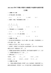 负数-2023-2024学年小学数学六年级下学期 期中必刷常考题  人教版（含解析）