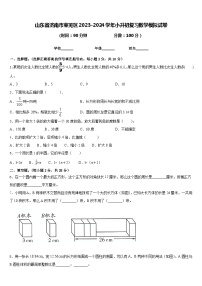 山东省济南市莱芜区2023-2024学年六年级下学期小升初复习模拟数学试卷