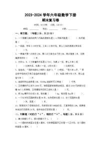 期末复习题(试题)-2023-2024学年+六年级下册数学北京版