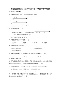 湖北省武汉市2023-2024学年六年级下学期数学高频易错期中必刷卷（人教版）