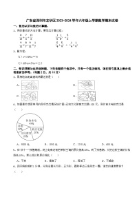 广东省深圳市龙华区2023-2024学年六年级上学期数学期末试卷