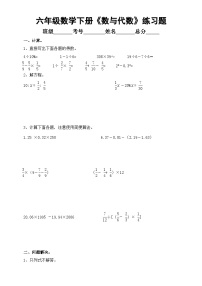 小学数学西师大版六年级下册数与代数一课一练