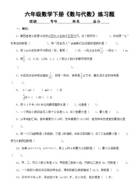 小学数学西师大版六年级下册数与代数习题