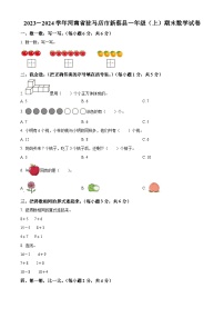 2023-2024学年河南省驻马店市新蔡县人教版一年级上册期末数学试卷（原卷版+解析版）