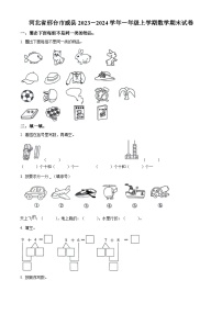 2023-2024学年河北省邢台市威县冀教版一年级上册期末测试数学试卷（原卷版+解析版）