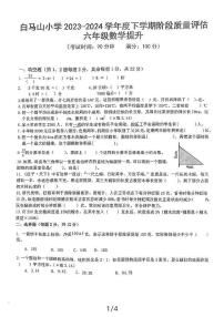 湖北黄石市下陆区白马山小学2023-2024学年六年级下学期3月月考质量评估数学试卷