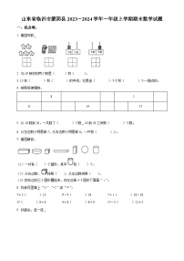 2023-2024学年山东省临沂市蒙阴县人教版一年级上册期末测试数学试卷（原卷版+解析版）