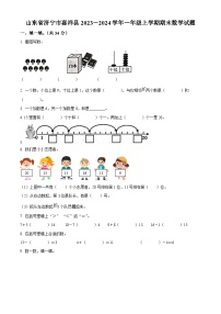 2023-2024学年山东省济宁市嘉祥县人教版一年级上册期末测试数学试卷（原卷版+解析版）