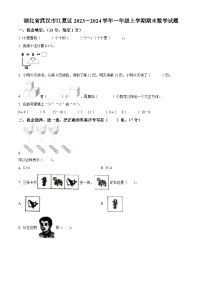 2023-2024学年湖北省武汉市江夏区人教版一年级上学期期末数学试卷（原卷版+解析版）