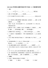 2023-2024学年浙江省嘉兴市经开区六年级（上）期末数学试卷