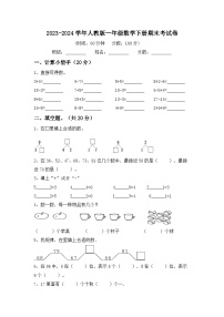 期末考试卷（试题）2023-2024学年一年级数学下册人教版