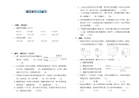 小学数学苏教版三年级下册五 年、月、日综合训练题