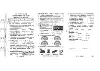 广东省东莞市长安镇2023-2024学年四年级上学期期末数学试卷