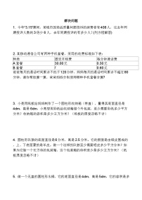 小升初解决问题训练（试题） 六年级下册数学人教版