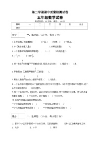 五年级下册数学期中满分必刷卷4  北师大版（含答案）