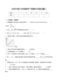 北师大版六年级数学下册期中巩固卷二（含解析）