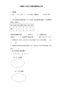 期末模拟练习卷（试题）-2023-2024学年六年级下册数学人教版