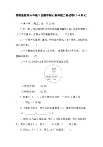 期中核心素养能力测试卷（1-4单元）（试题）-2023-2024学年六年级下册数学苏教版