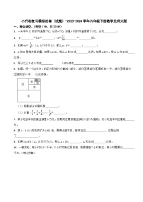 小升初复习模拟试卷（试题）-2023-2024学年六年级下册数学北师大版