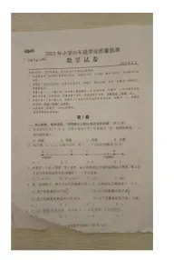 湖北省武汉市黄陂区2022-2023学年六年级下学期期末检测数学试卷