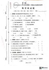 海南省东方市2023-2024学年五年级上学期数学期末检测