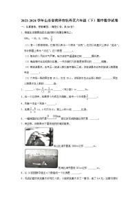 山东省菏泽市牡丹区2023-2024学年六年级下学期期中数学试卷