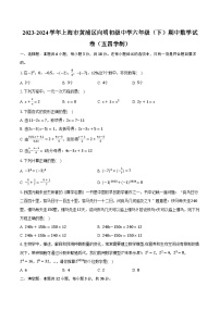 2023-2024学年上海市黄浦区向明初级中学六年级（下）期中数学试卷（五四学制）(含解析）