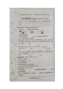 河南省周口市项城市2023-2024学年五年级下学期期中数学试题